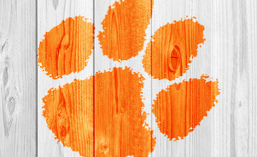 Clemson iPhone 6 Wallpapers