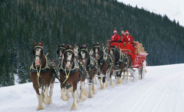 Clydesdales Christmas Wallpaper