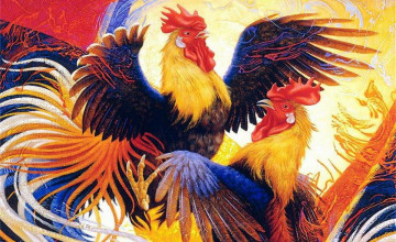 Cockfight Wallpapers