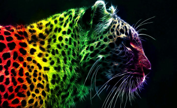 Colorful Cheetah Print Wallpapers