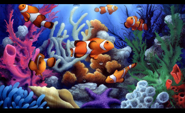 Colorful Underwater Fish Wallpapers