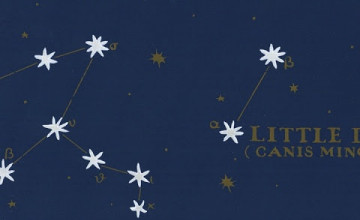 Constellation Ralph Lauren