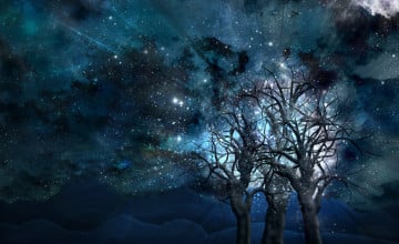 Cool Desktop Wallpapers