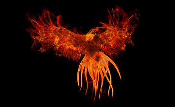 Cool Phoenix