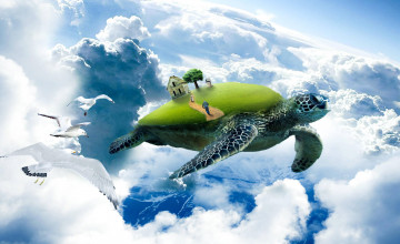 Cool Turtles Wallpapers