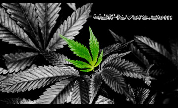 Cool Wallpaper of Weed