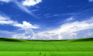 Cool Windows XP Wallpapers