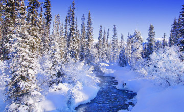 Cool Winter Wallpapers