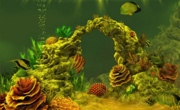 Coral Reef Widescreen
