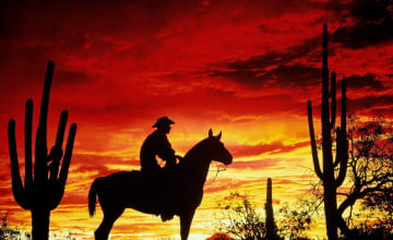 Cowboy Wallpapers