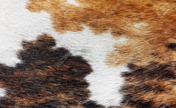 Cowhide