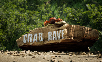 Crab Rave Wallpapers
