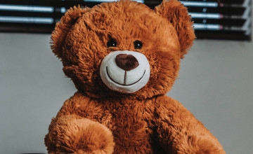 Cute Bear Wallpapers