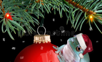 Cute Christmas Frog