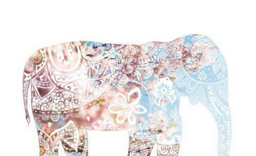 Cute Elephant Wallpapers Tumblr