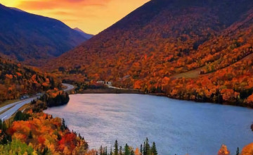 Cute Fall Phone Wallpapers