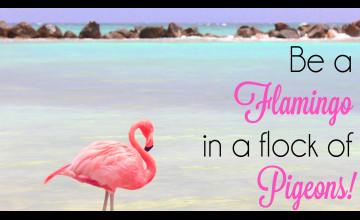 Cute Flamingo Desktop