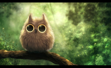 Cute Owl Desktop Wallpaper