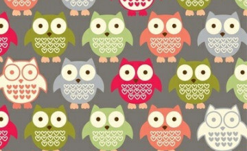 Cute Owl iPhone Wallpapers