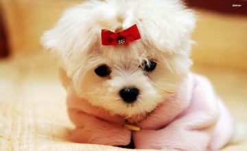 Cute Sad