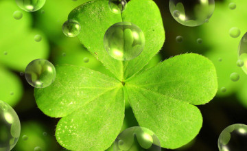 Cute St Patrick\'s Day Wallpapers