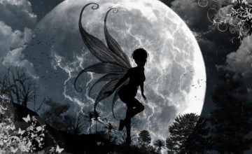 Dark Fairy Live