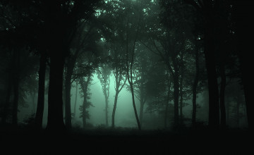 Dark Forest Wallpapers HD