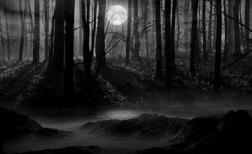 Dark Forest With Moon Wallpapers