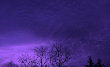 Dark Purple Aesthetic Wallpapers