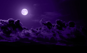 Dark Purple Wallpapers