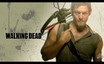 Daryl Walking Dead Wallpaper