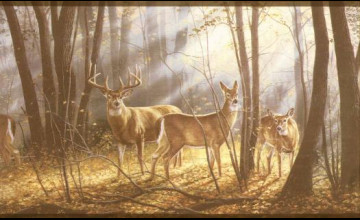 Deer Border Wallpaper