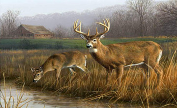 Deer Hunting Desktop