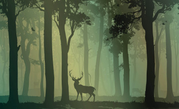 Deer In Forest Wallpapers