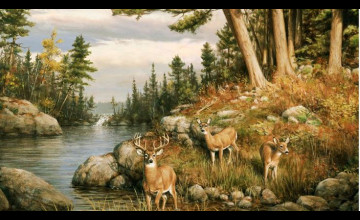 Deer Mural Wallpapers