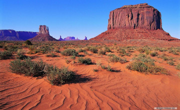 Desert Scenery