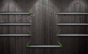 Desk and Shelves 4k Wallpapers