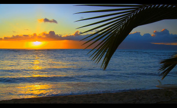 Desktop Beautiful Hawaiian Scenes