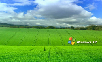 Desktop for Windows XP
