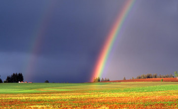 Desktop Wallpapers Rainbows