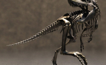Dinosaur Skeleton Wallpaper