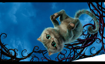 Disney 1920x1080 Hd