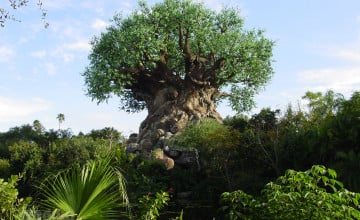 Disney Tree of Life Wallpaper