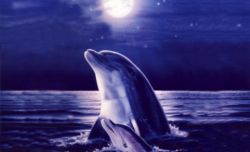 Dolphins Screensavers and Wallpapers