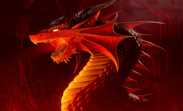 Dragon Pictures Wallpapers