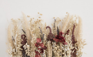 Dried Flowers Desktop Wallpapers