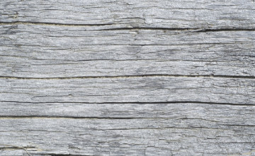 Driftwood Backgrounds