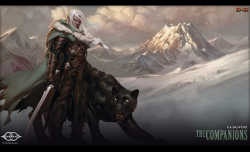 Drizzt Wallpapers HD