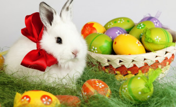 Easter Bunny for Desktop