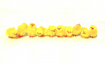 Easter Chick Wallpapers